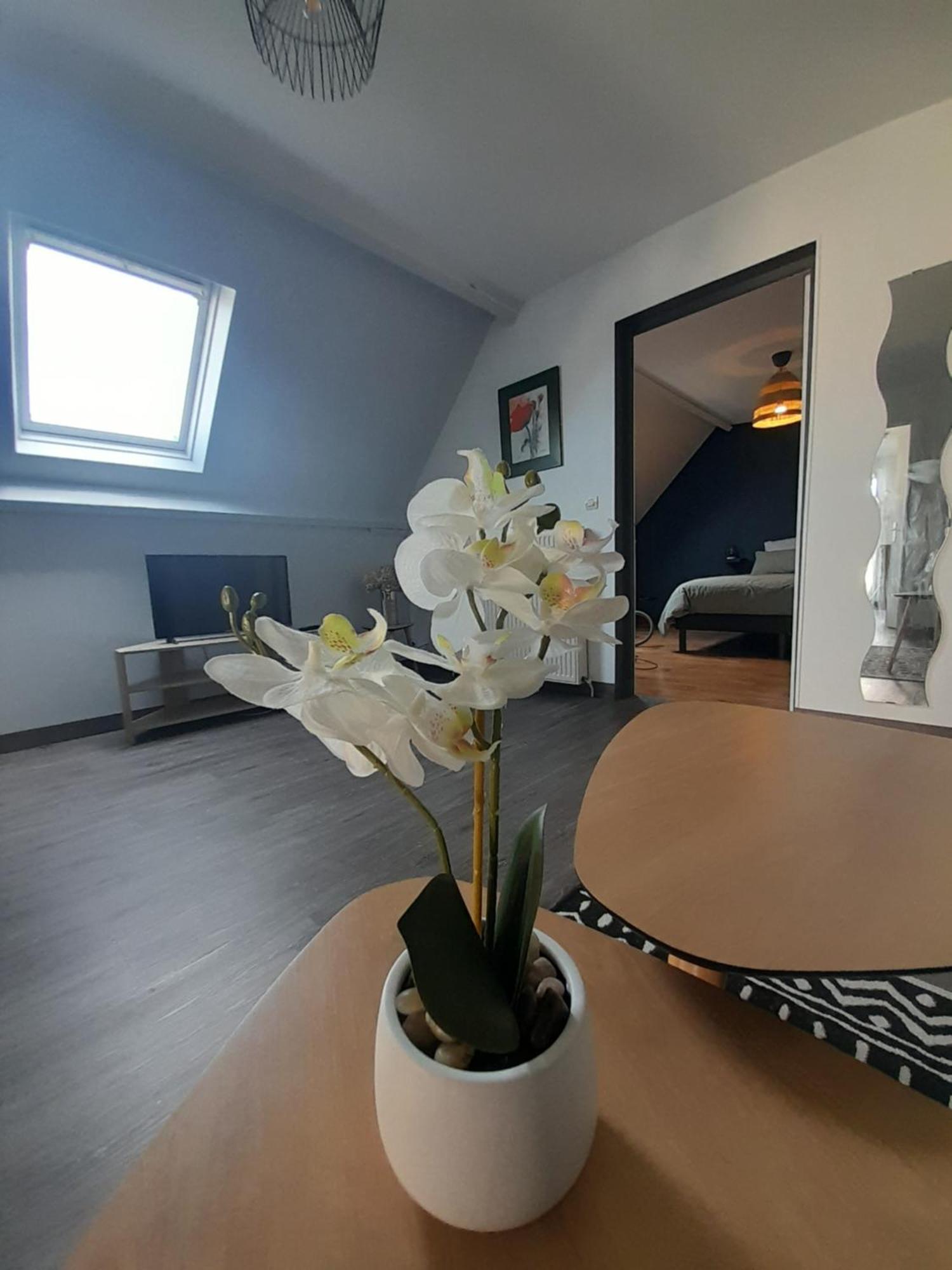 Le Bon Plan Entre Caen Et La Mer ** Draps Et Menage Inclus !** Giberville Luaran gambar